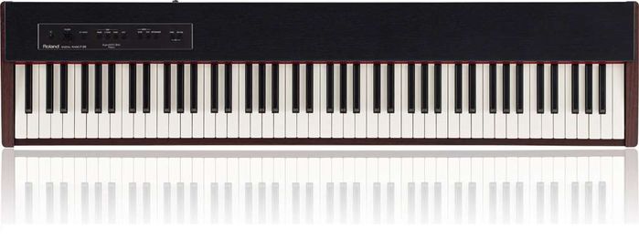Roland F-20 DW