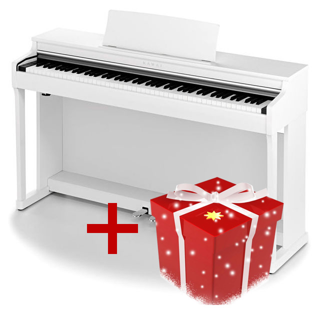 Kawai CN25W