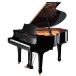Yamaha C2 PE/ / X