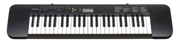 CASIO CTK 245