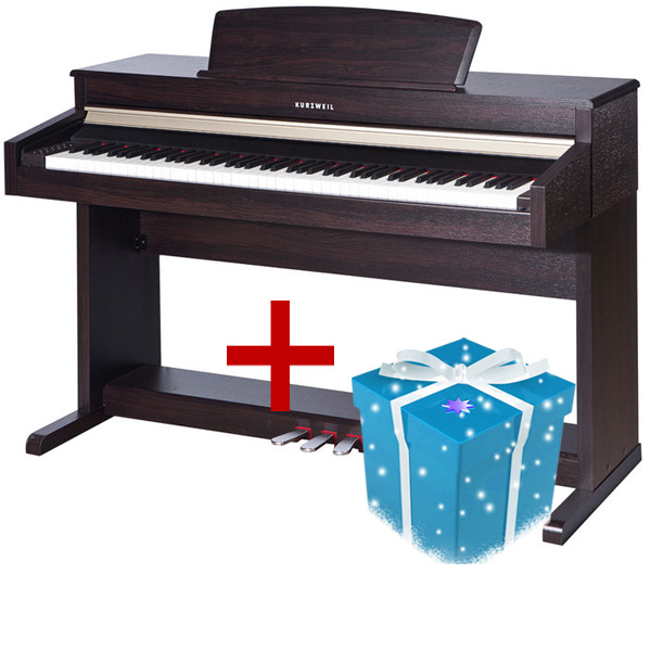 Kurzweil CUP110 SR Andante