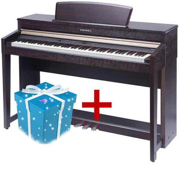 Kurzweil CUP120 SR Andante