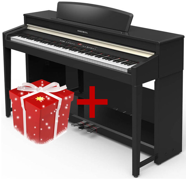Kurzweil CUP120 BP Andante