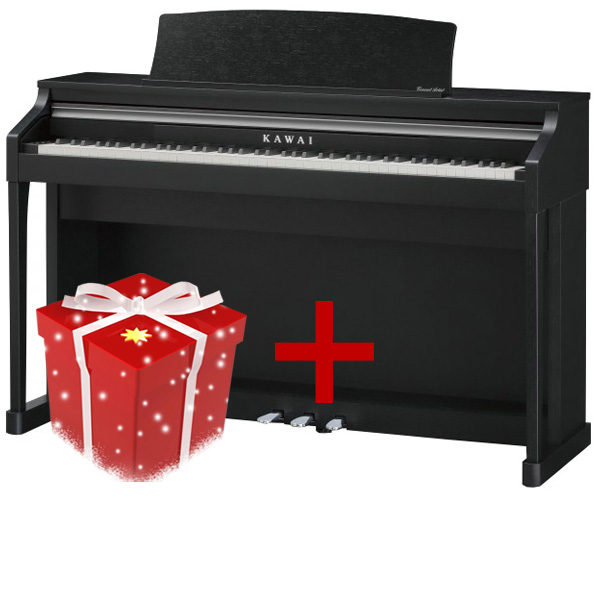 KAWAI CA17R