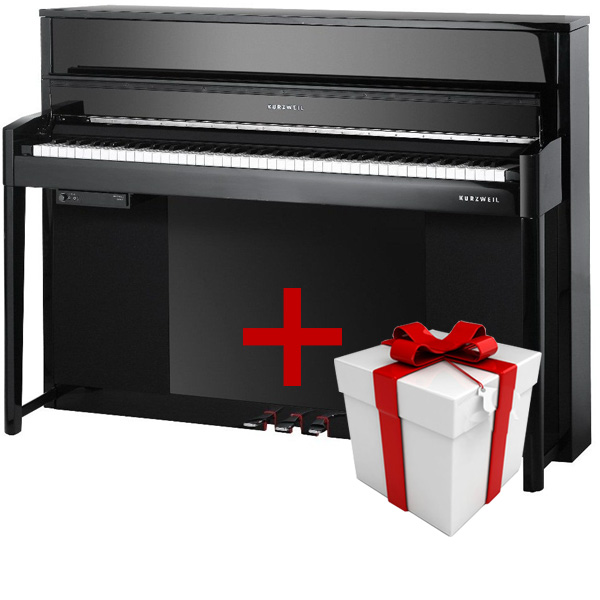 Kurzweil CUP2A BP Andante