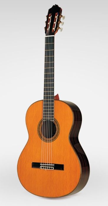 Esteve 11 SP + Кейс