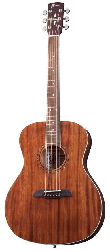 Framus FG 14 M NS