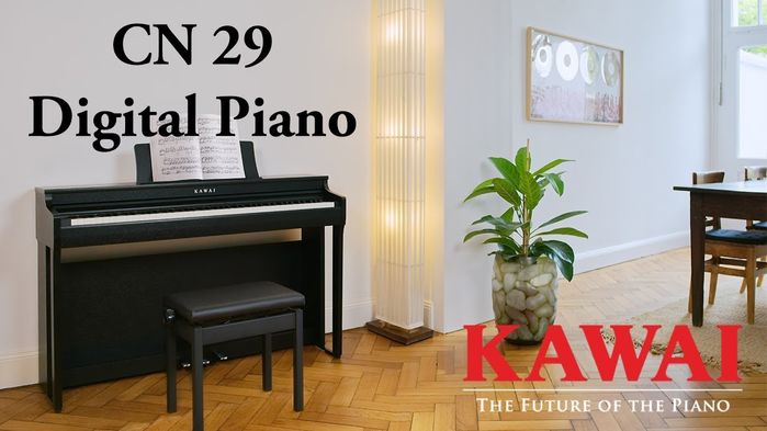 Kawai CN29B